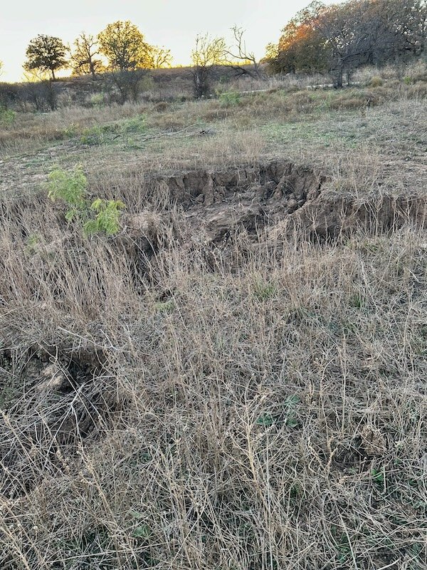 Baseline Status of the Ranch As of January 2025